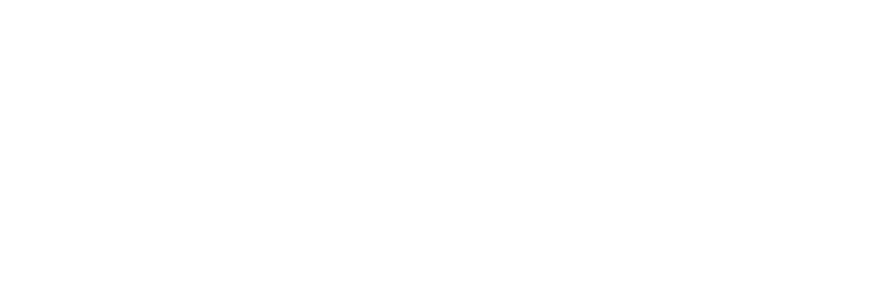 Honest Power White Logo